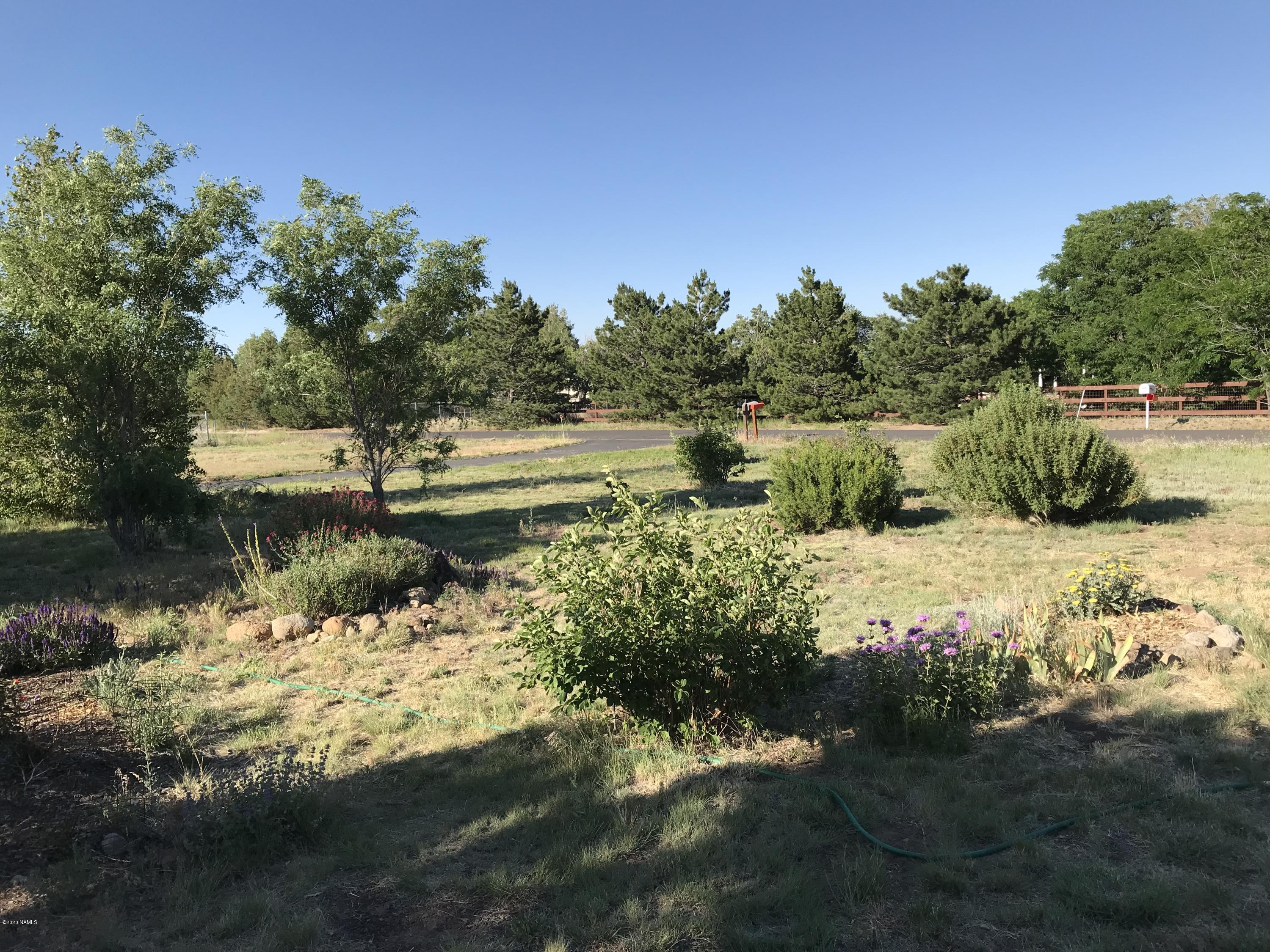 10910 Rodeo Road Flagstaff, AZ 86004 - Photo 38 of 38 Front Landscape
