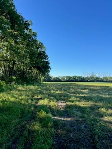 10 Southwest Sw Street Bell, FL 32619 - Photo 1 of 1