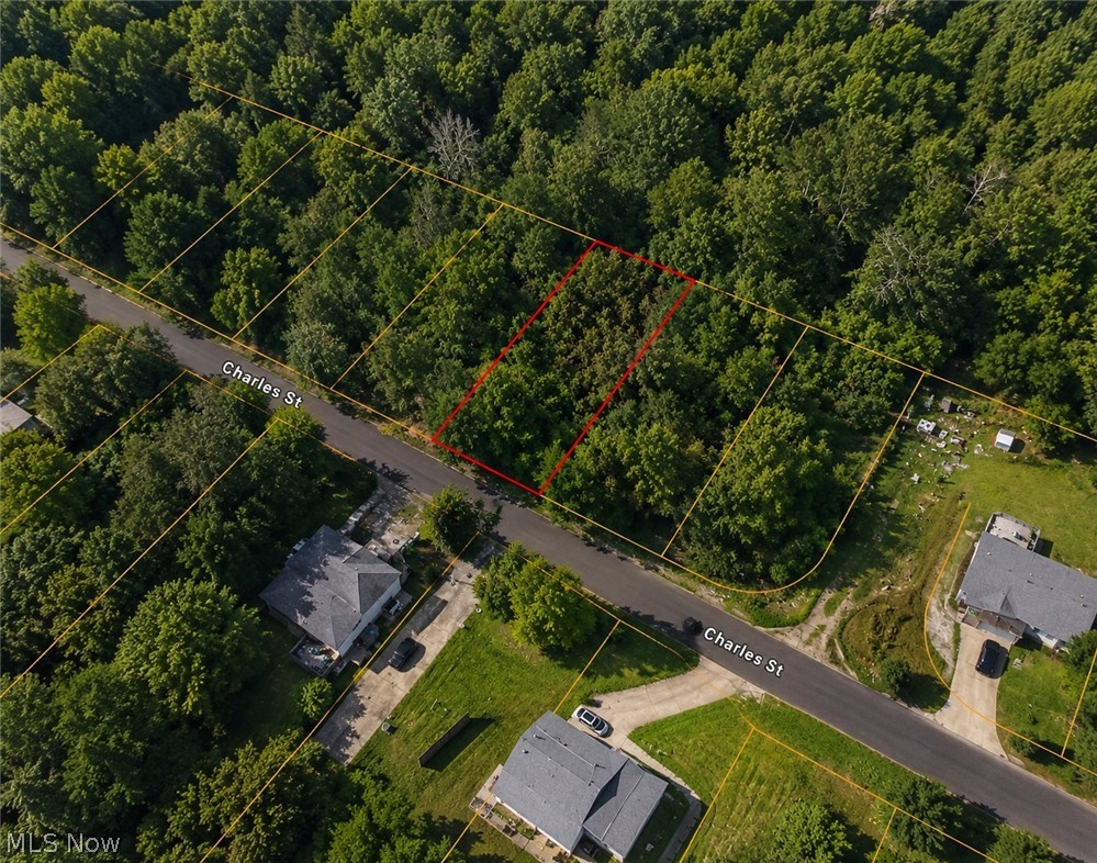 0 Charles Street Mansfield, OH 44903 - Photo 1 of 12