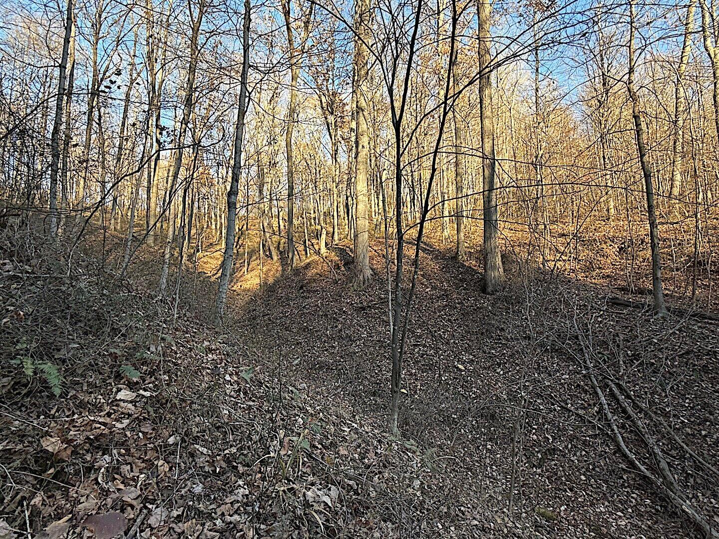 0 Carrs Run Road, Unit C56 Waverly, OH 45690 - Photo 14 of 20 IMG_0782