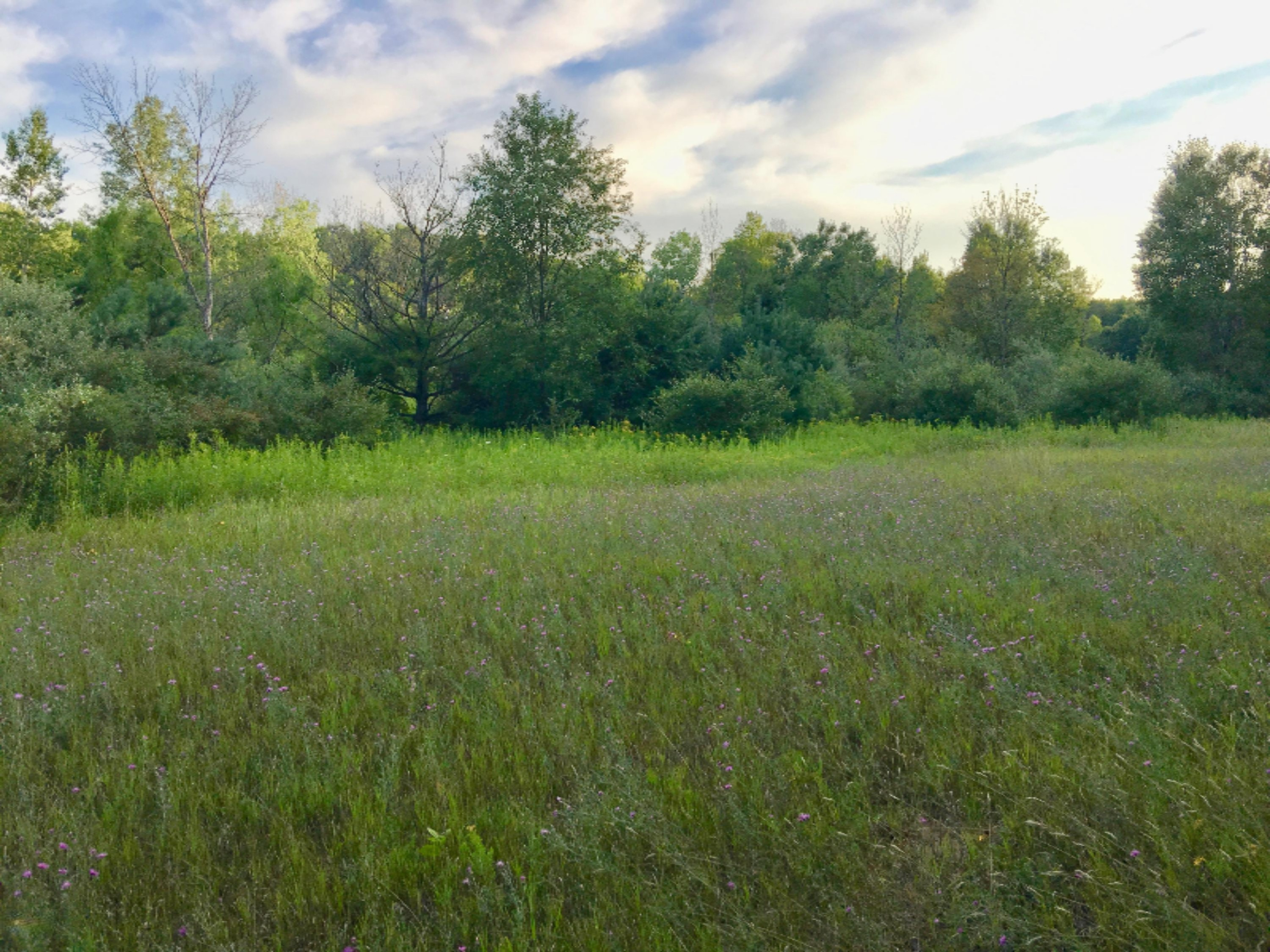 20 East Conrad Road Custer, MI 49405 - Photo 11 of 18 IMG_7153