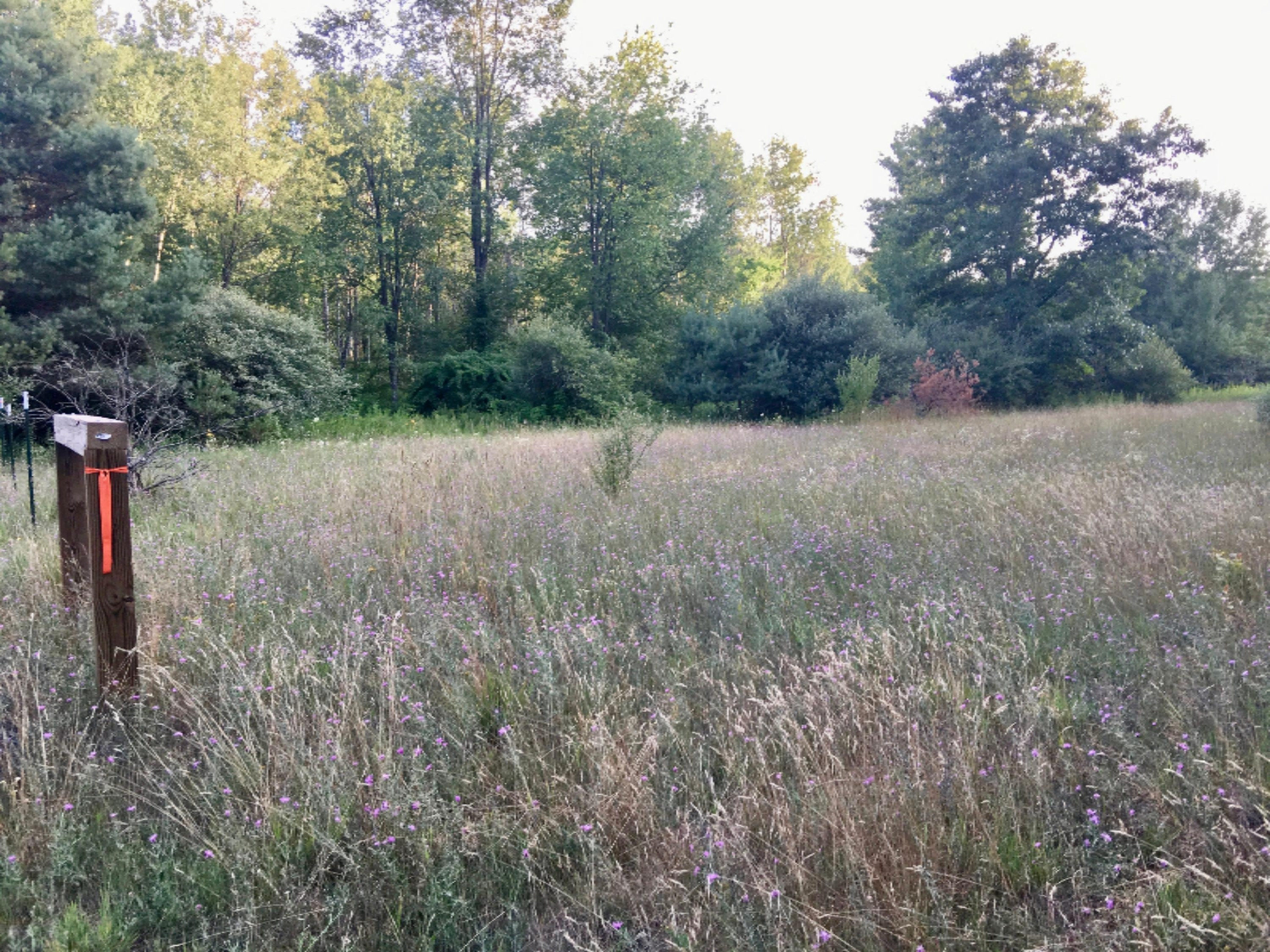 20 East Conrad Road Custer, MI 49405 - Photo 12 of 18 IMG_7144