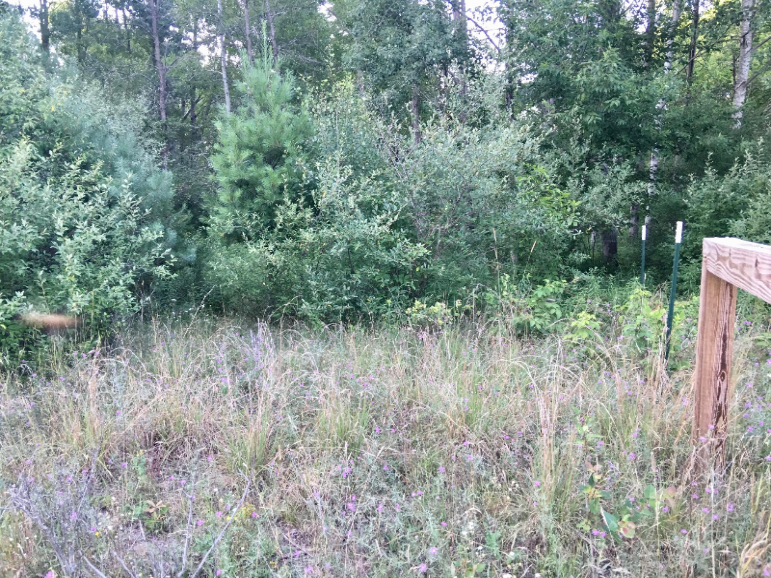 20 East Conrad Road Custer, MI 49405 - Photo 14 of 18 IMG_7146