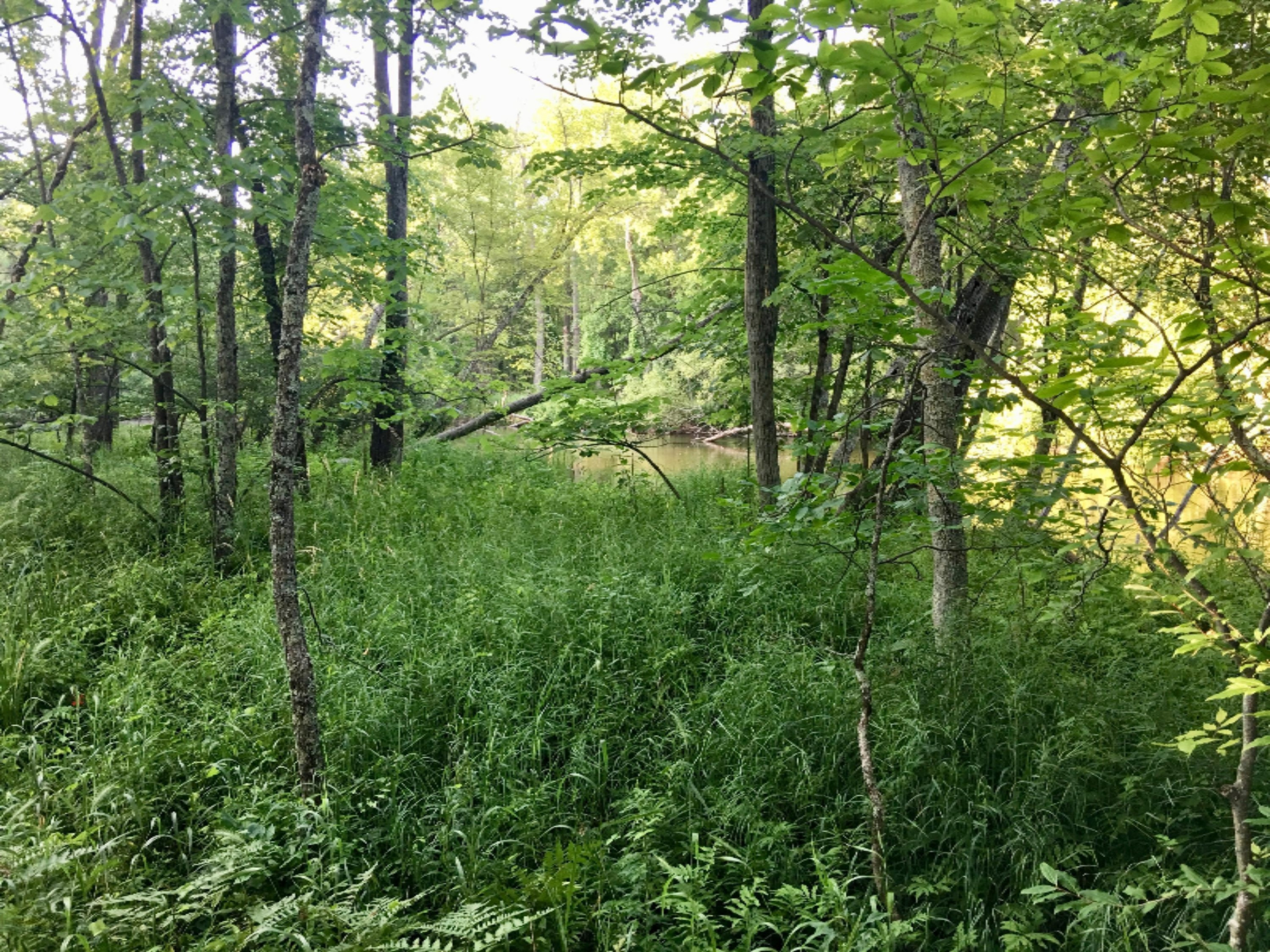 20 East Conrad Road Custer, MI 49405 - Photo 15 of 18 IMG_7139