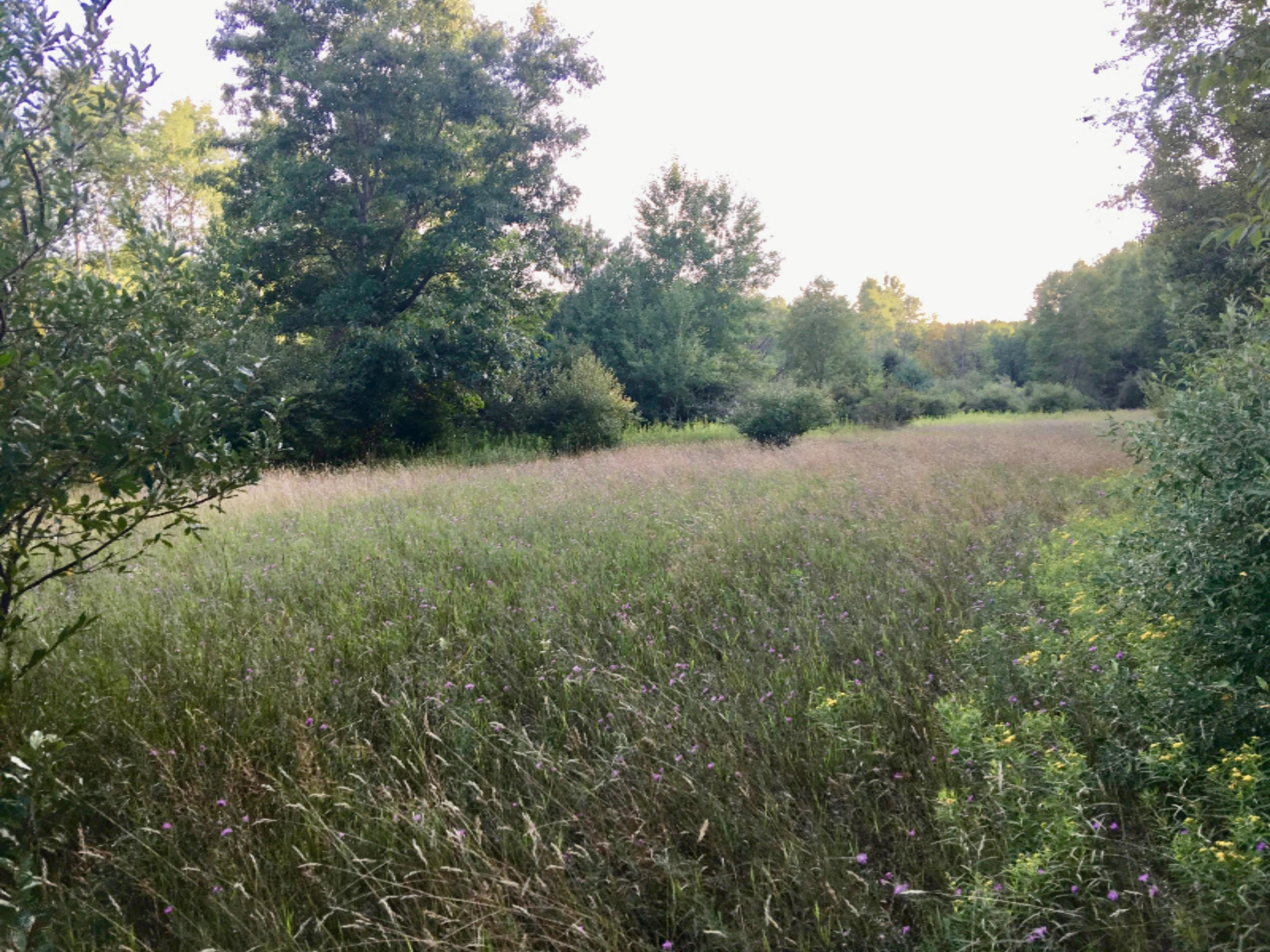 20 East Conrad Road Custer, MI 49405 - Photo 10 of 18 IMG_7151