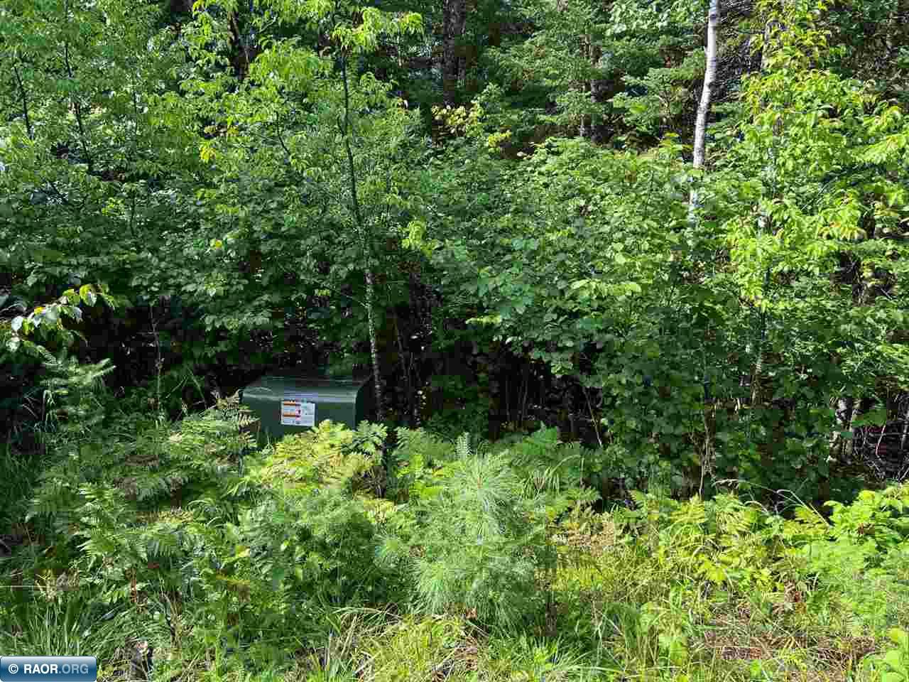 45-xx Bass Lake Road Gilbert, MN 55741 - Photo 11 of 18