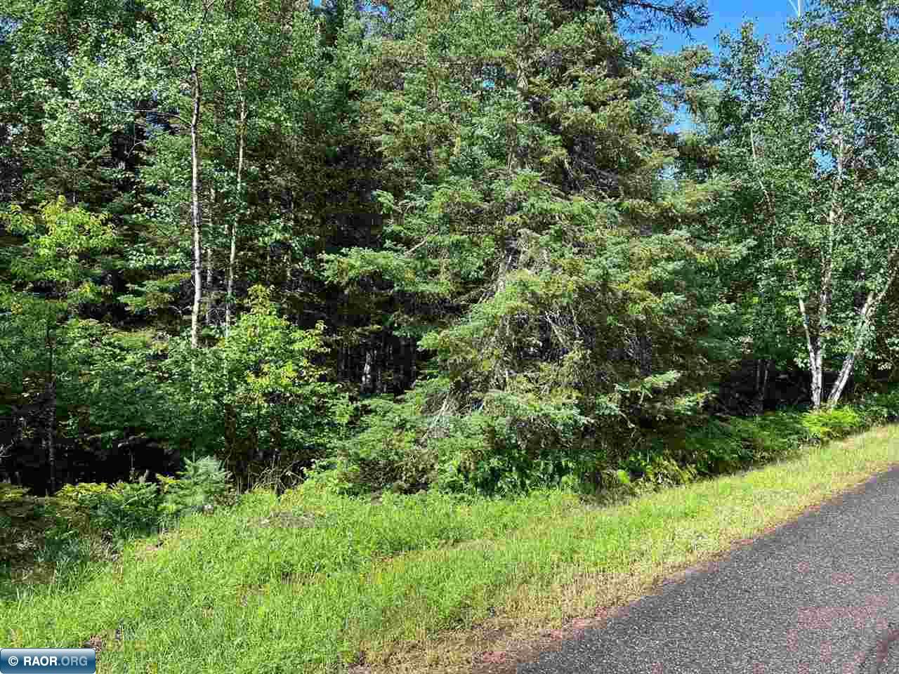 45-xx Bass Lake Road Gilbert, MN 55741 - Photo 12 of 18