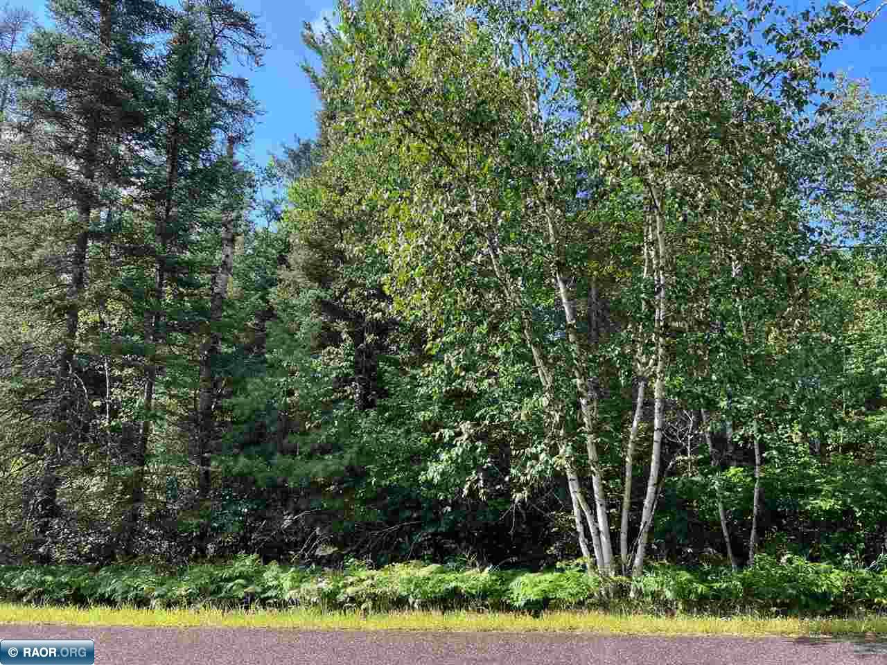 45-xx Bass Lake Road Gilbert, MN 55741 - Photo 13 of 18