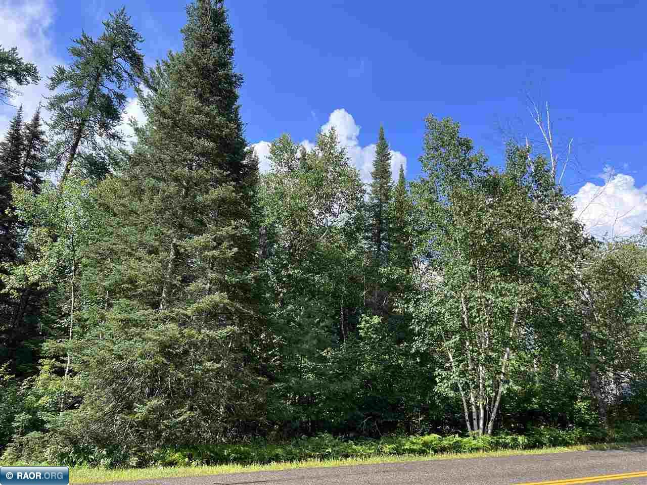 45-xx Bass Lake Road Gilbert, MN 55741 - Photo 14 of 18
