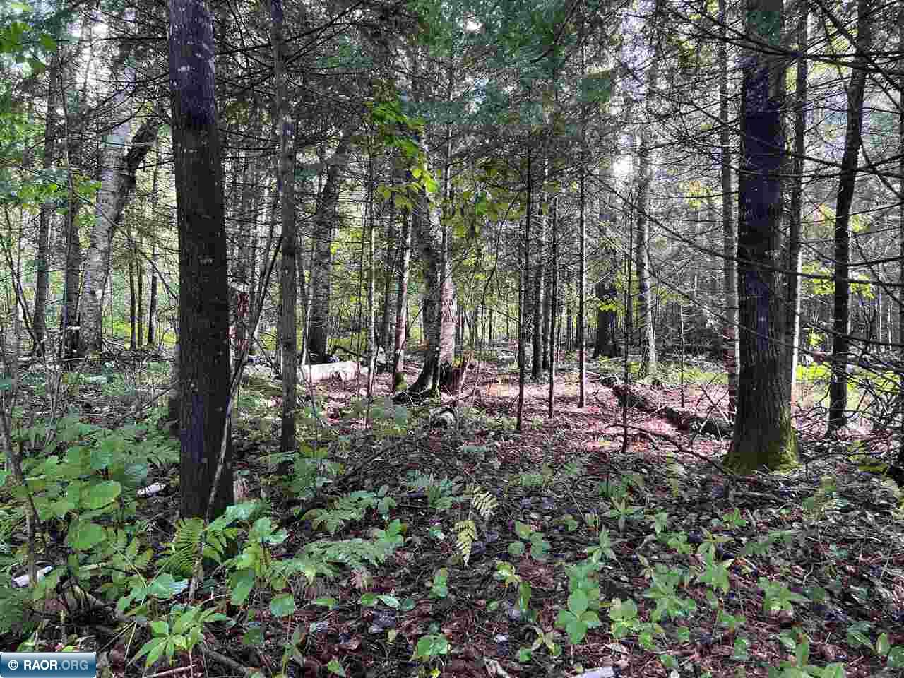 45-xx Bass Lake Road Gilbert, MN 55741 - Photo 6 of 18