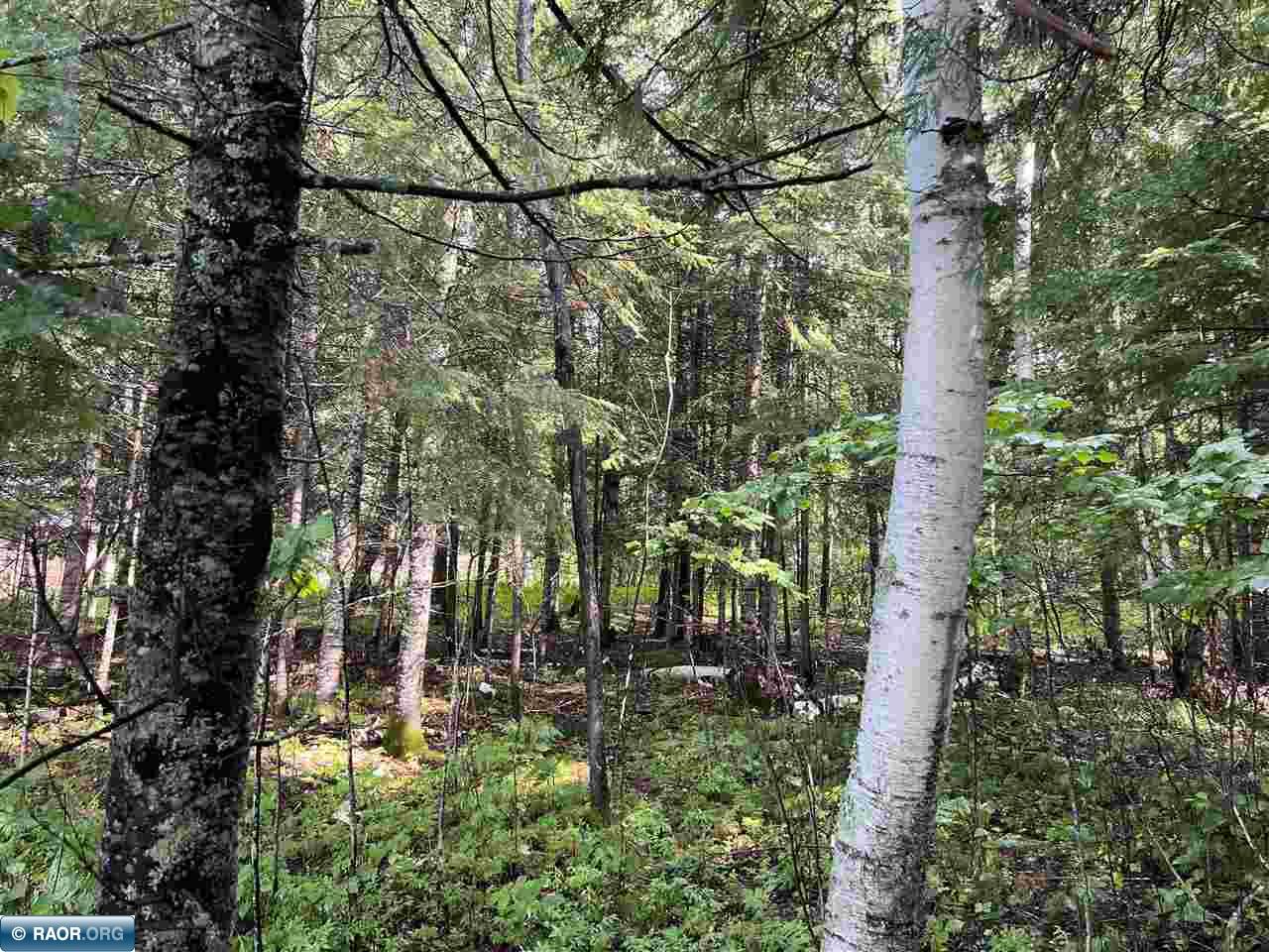 45-xx Bass Lake Road Gilbert, MN 55741 - Photo 8 of 18