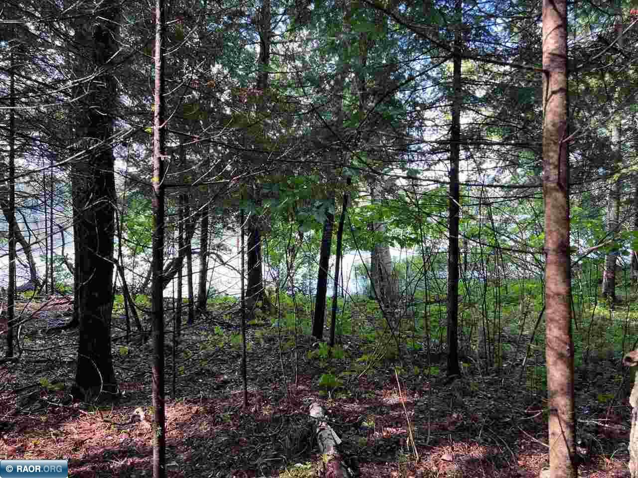 45-xx Bass Lake Road Gilbert, MN 55741 - Photo 10 of 18