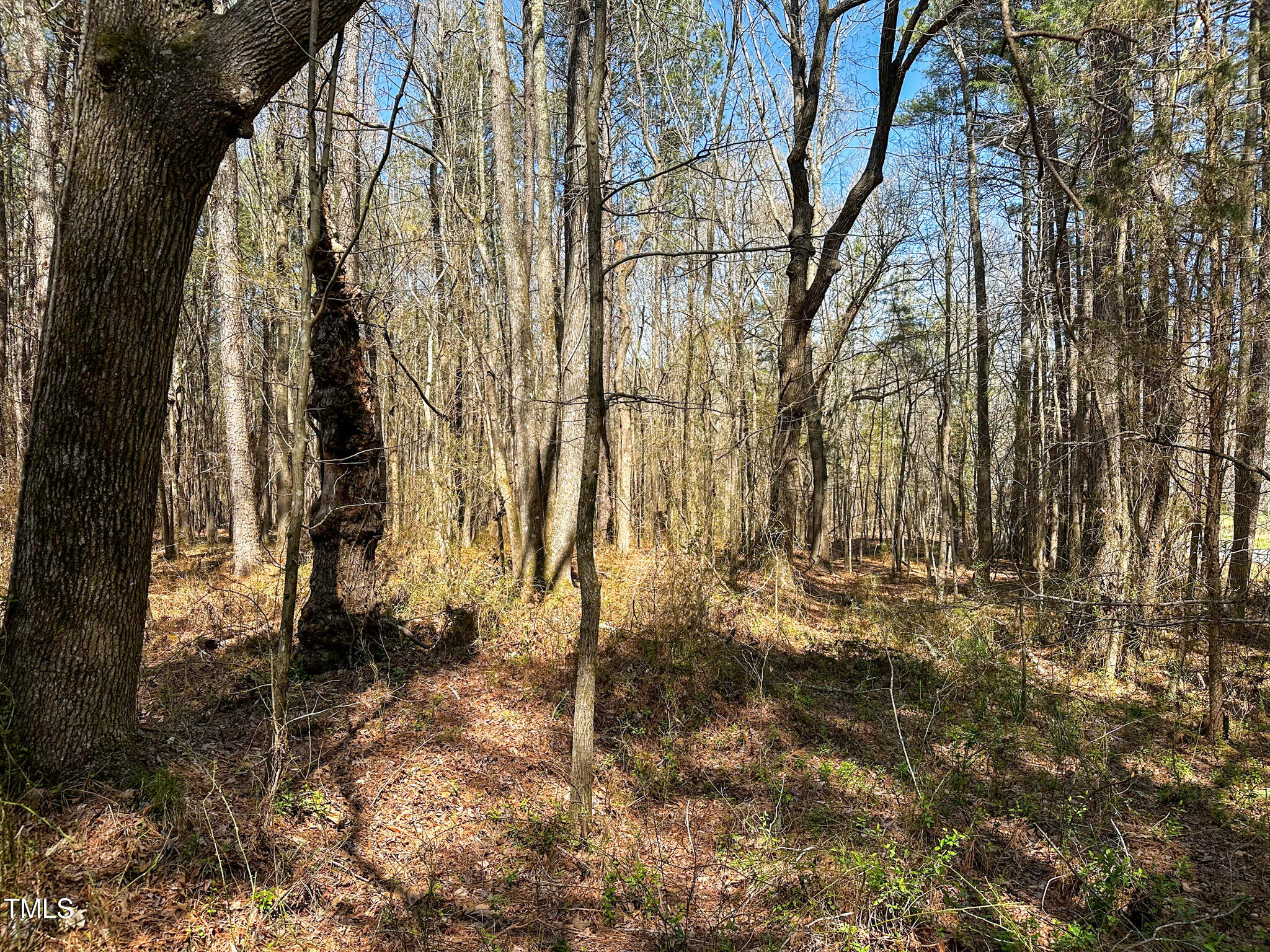 0 Brower Road Siler City, NC 27344 - Photo 12 of 15 Brower Road 12