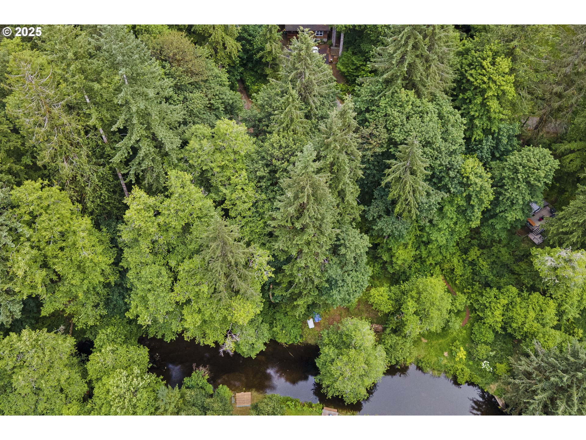 10235 Ridgeview Terrace Birkenfeld, OR 97016 - Photo 15 of 17