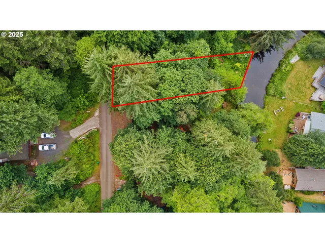 a backyard of a house with a garden and plants