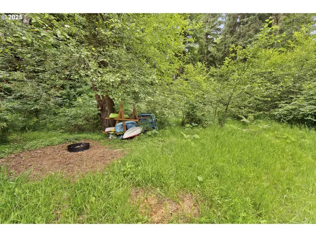 a view of outdoor space and yard
