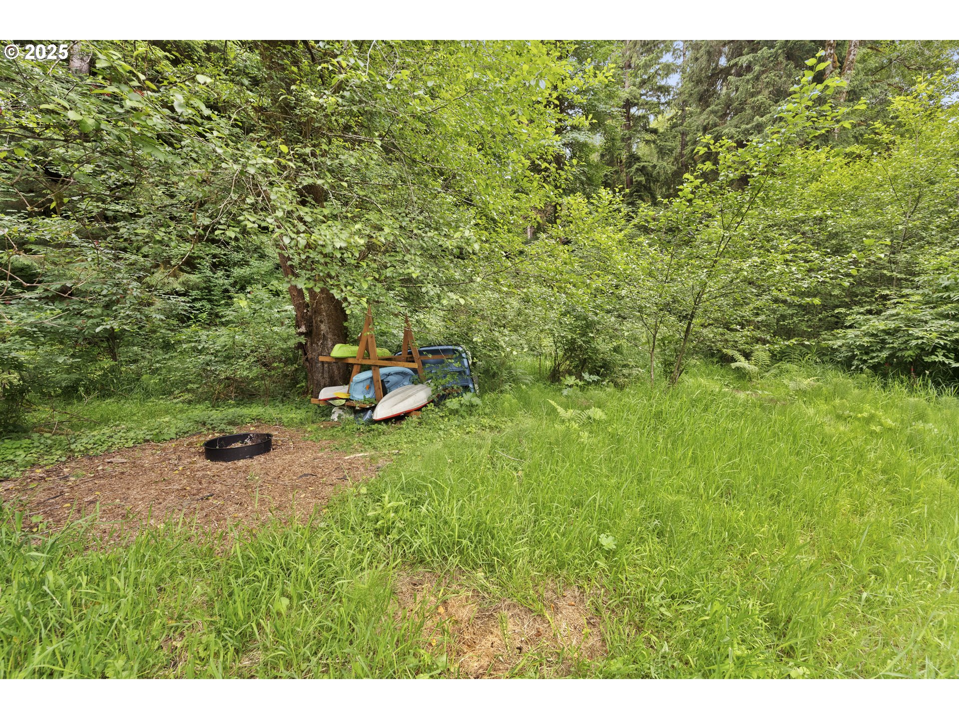 10235 Ridgeview Terrace Birkenfeld, OR 97016 - Photo 5 of 17