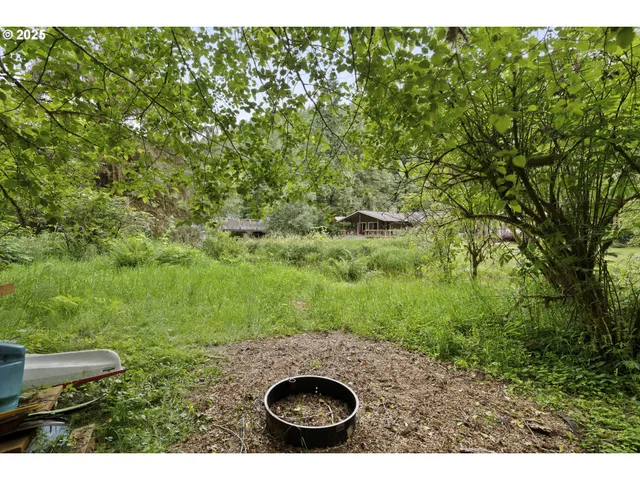 a view of a backyard with plants
