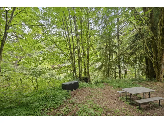 a view of an outdoor space and a yard