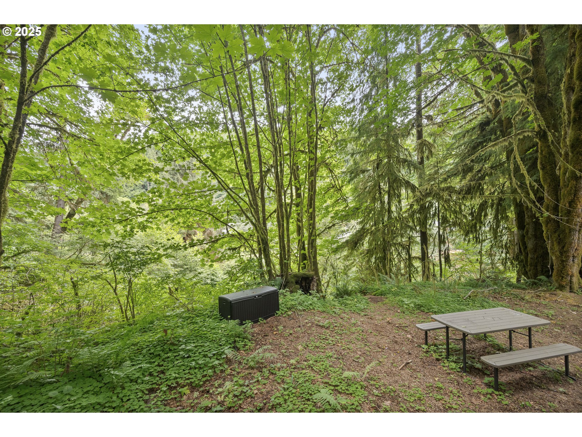 10235 Ridgeview Terrace Birkenfeld, OR 97016 - Photo 7 of 17