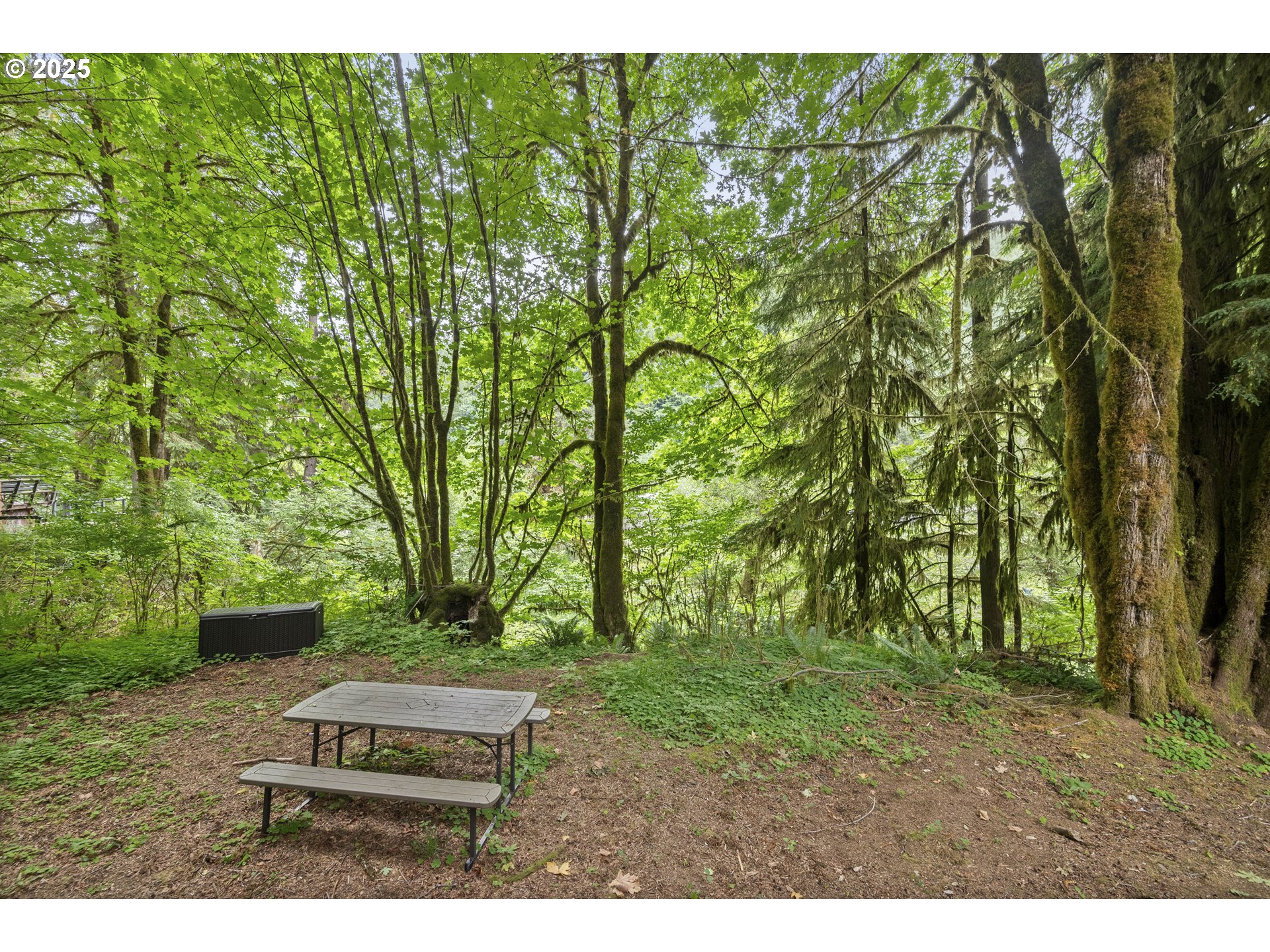 10235 Ridgeview Terrace Birkenfeld, OR 97016 - Photo 8 of 17