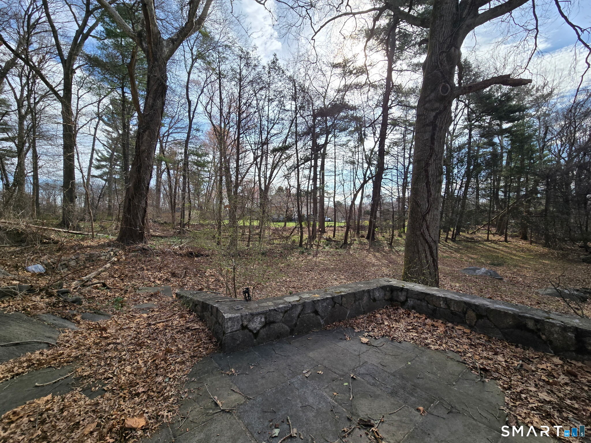 677 West Hill Road Stamford, CT 06902 - Photo 24 of 28 a view of a yard with trees