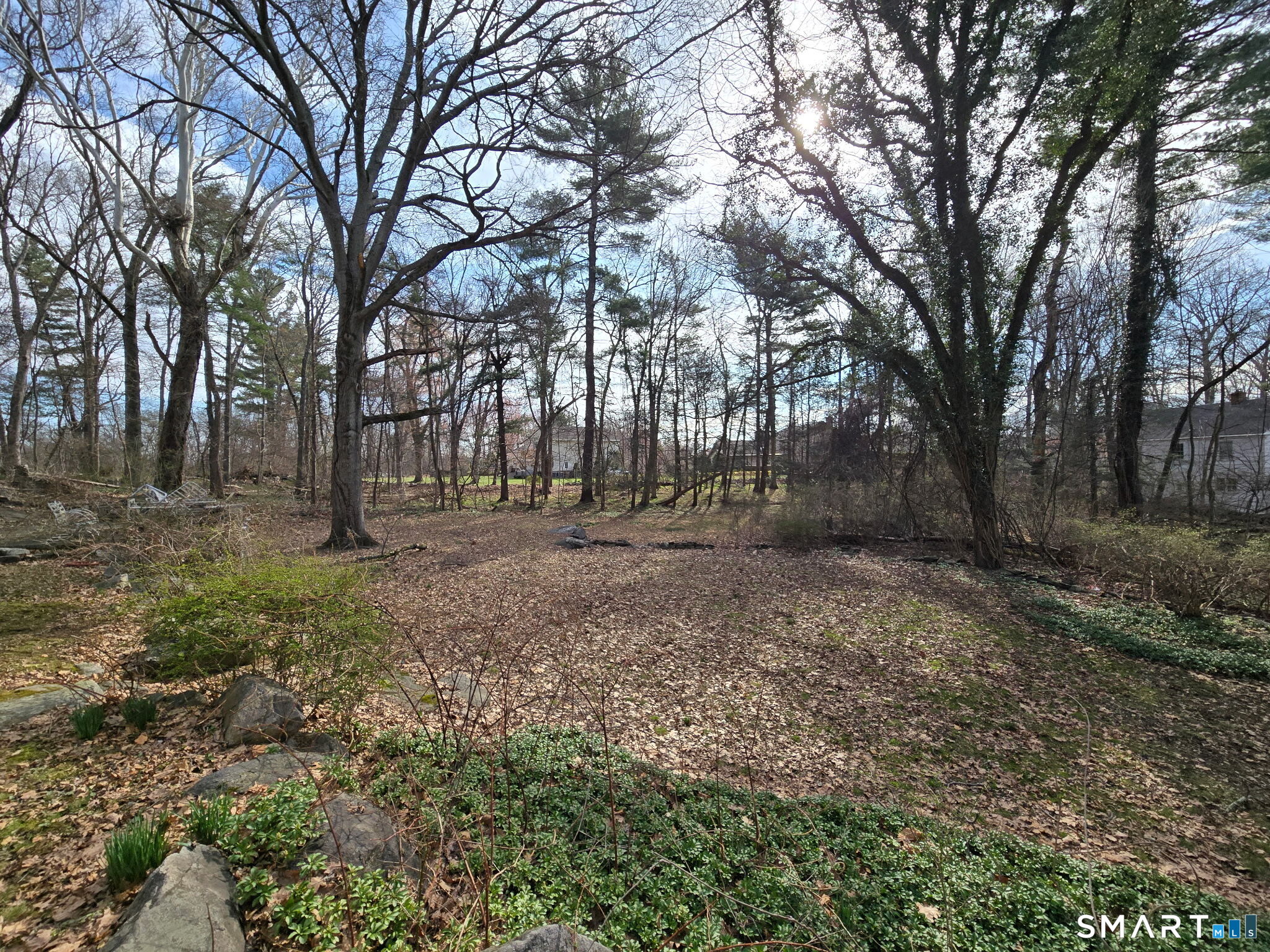 677 West Hill Road Stamford, CT 06902 - Photo 26 of 28 a view of outdoor space with trees