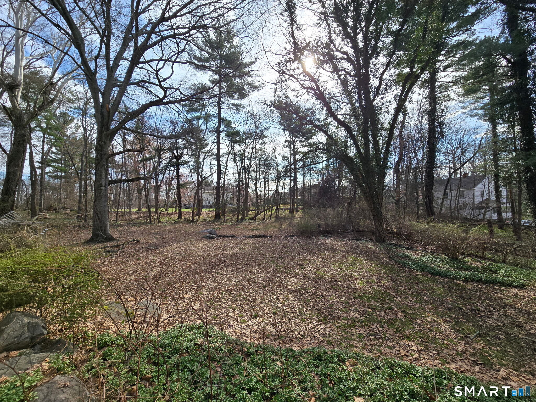 677 West Hill Road Stamford, CT 06902 - Photo 5 of 28 a view of outdoor space with trees