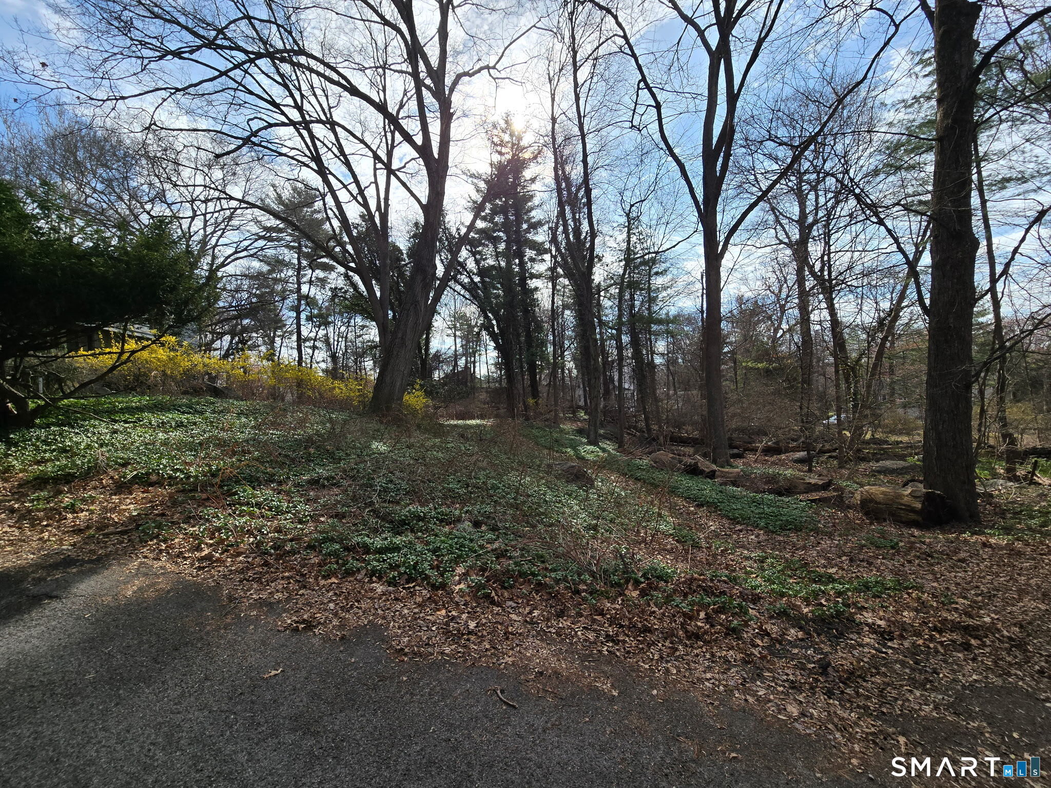 677 West Hill Road Stamford, CT 06902 - Photo 7 of 28 a backyard of a house with lots of green space