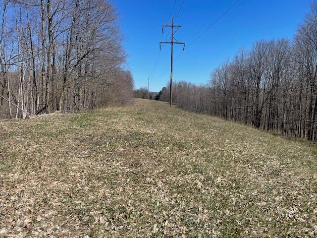 Bilder Road Wolverine, MI 49799 - Photo 17 of 22 Gallery Image 17