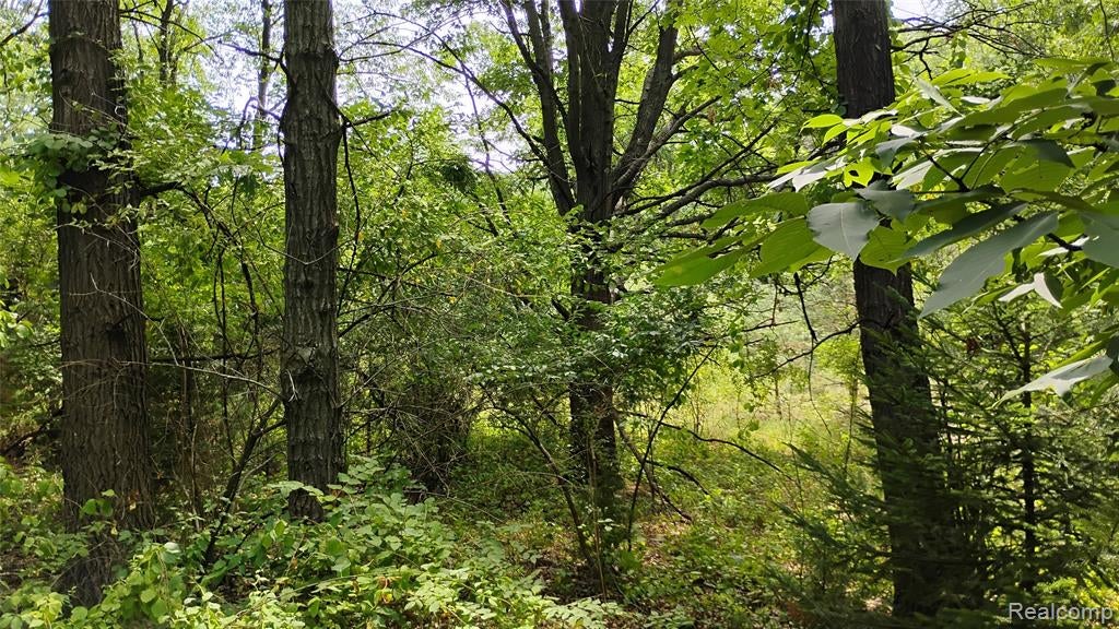 -middle Parc Middle Parc Middle Road Highland, MI 48357 - Photo 2 of 12 Gallery Image 2