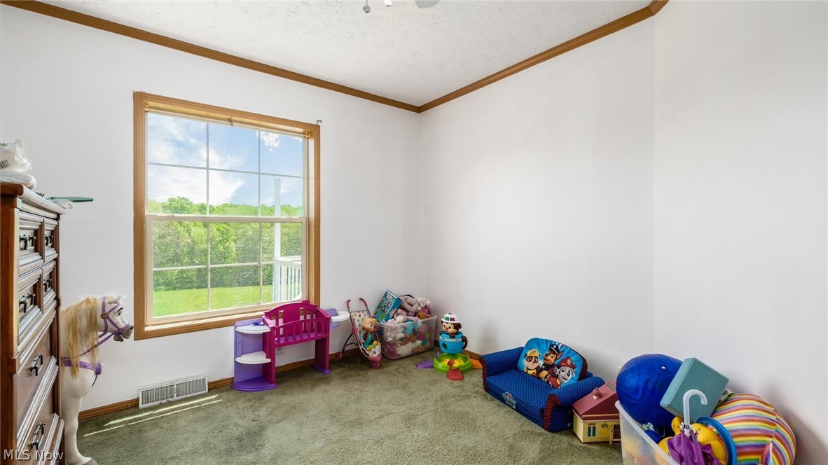 9180 North River Road East Dresden, OH 43821 - Photo 22 of 36 Playroom with crown molding, a textured ceiling, and carpet floors