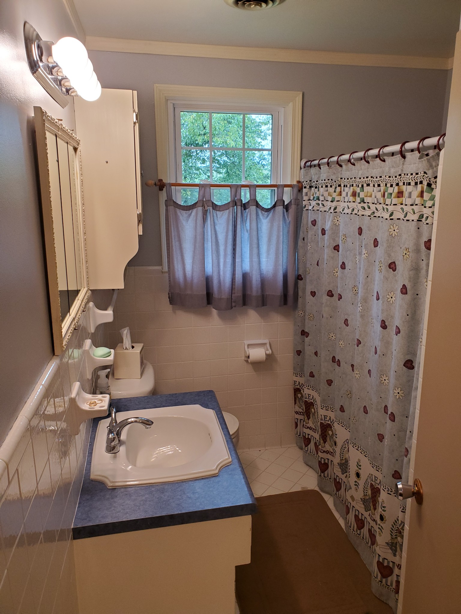 281 Le Bon Road Nashville, TN 37211 - Photo 14 of 30 a bathroom with a sink toilet and a mirror