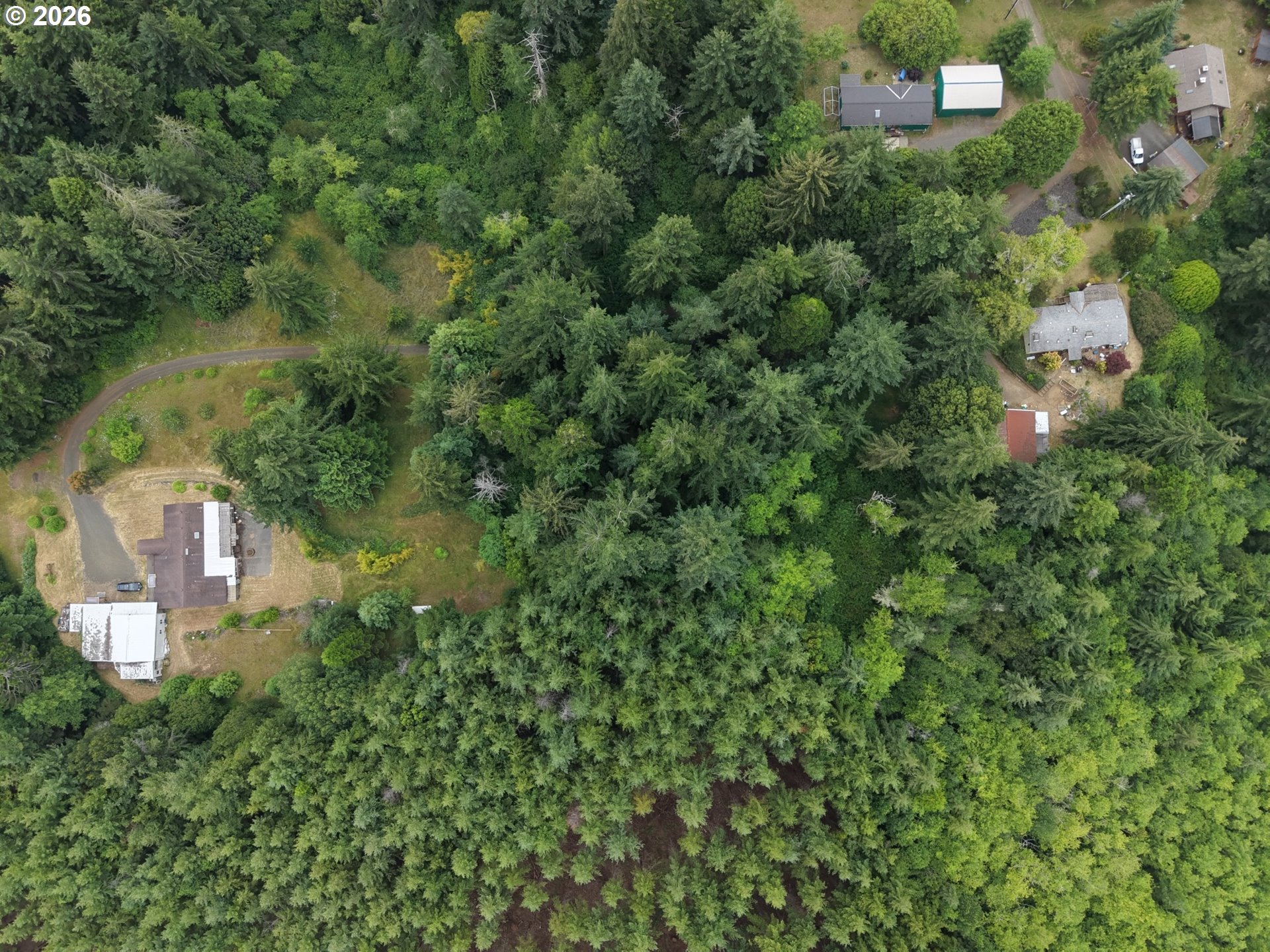 0 Misty Ridge Lane North Bend, OR 97459 - Photo 10 of 12