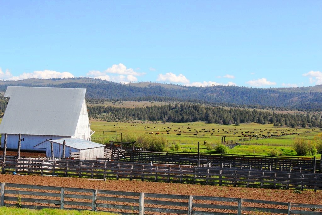a view of a swimming pool with an outdoor seating