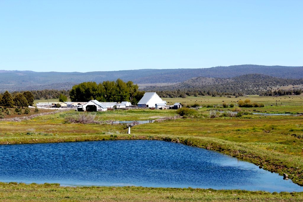 663-150 Dixie Ranch Road McArthur, CA 96056 - Photo 11 of 40 a view of an ocean and beach