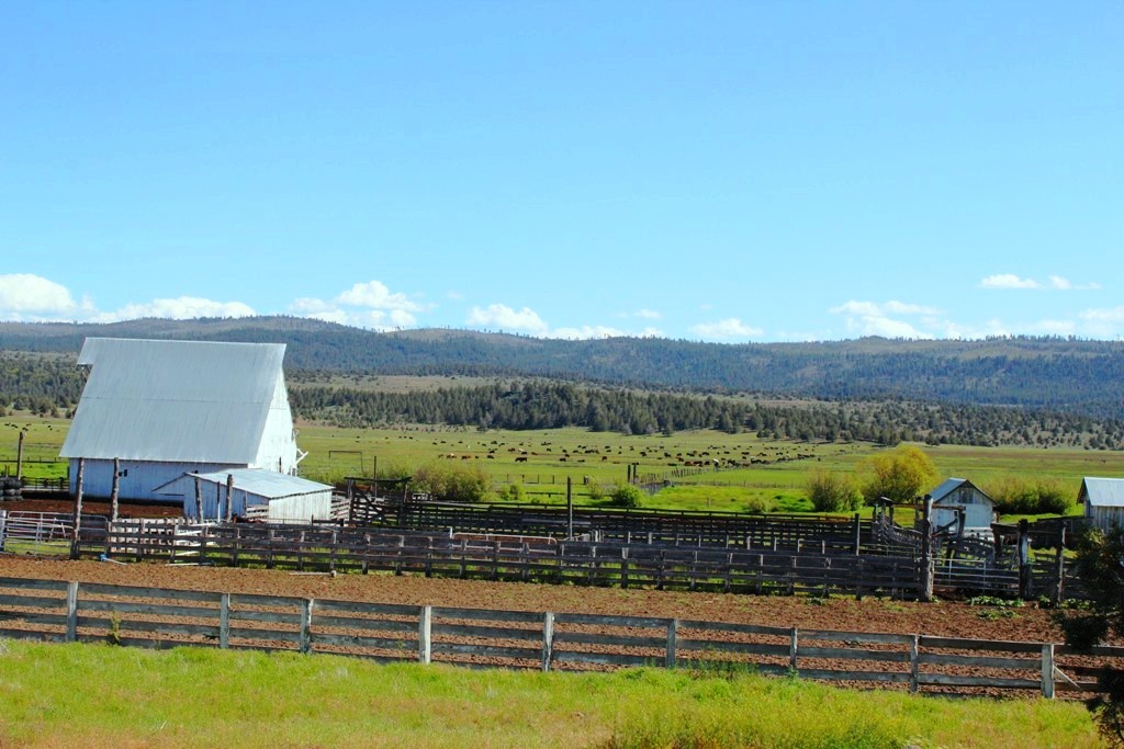 663-150 Dixie Ranch Road McArthur, CA 96056 - Photo 12 of 40 a view of a swimming pool with an outdoor seating