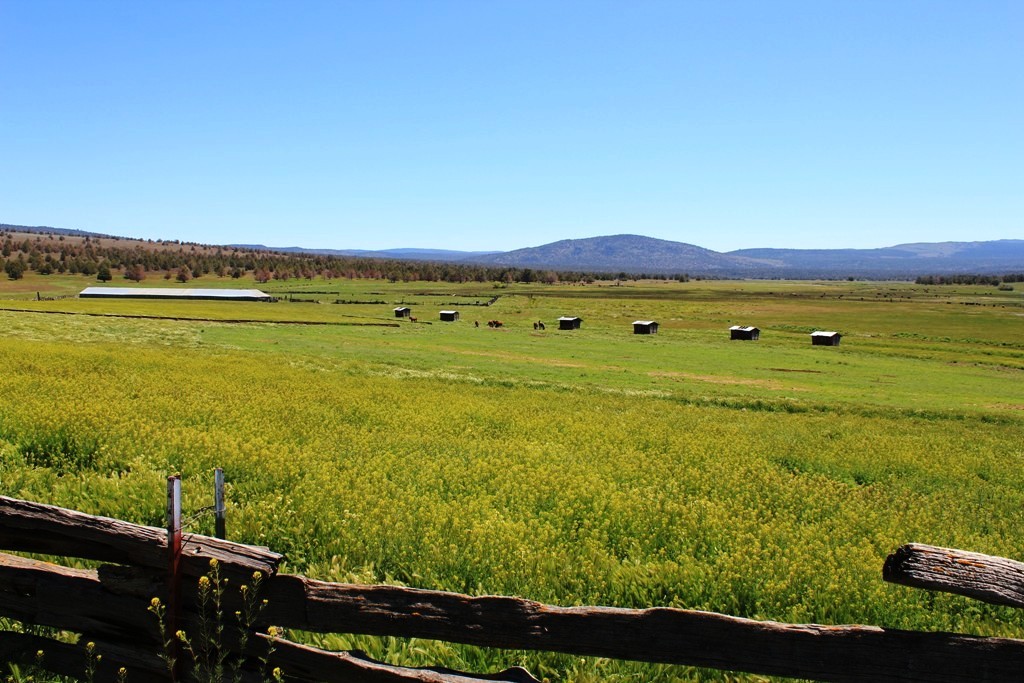 663-150 Dixie Ranch Road McArthur, CA 96056 - Photo 14 of 40 a view of an ocean from a balcony