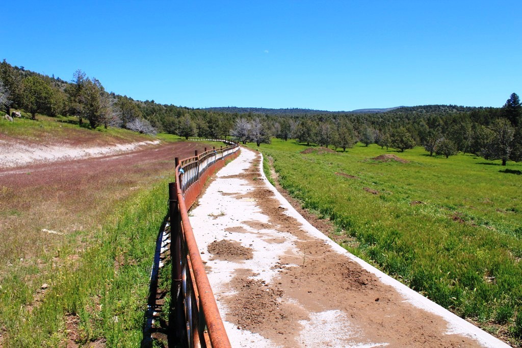 663-150 Dixie Ranch Road McArthur, CA 96056 - Photo 16 of 40 a view of a yard with an outdoor space