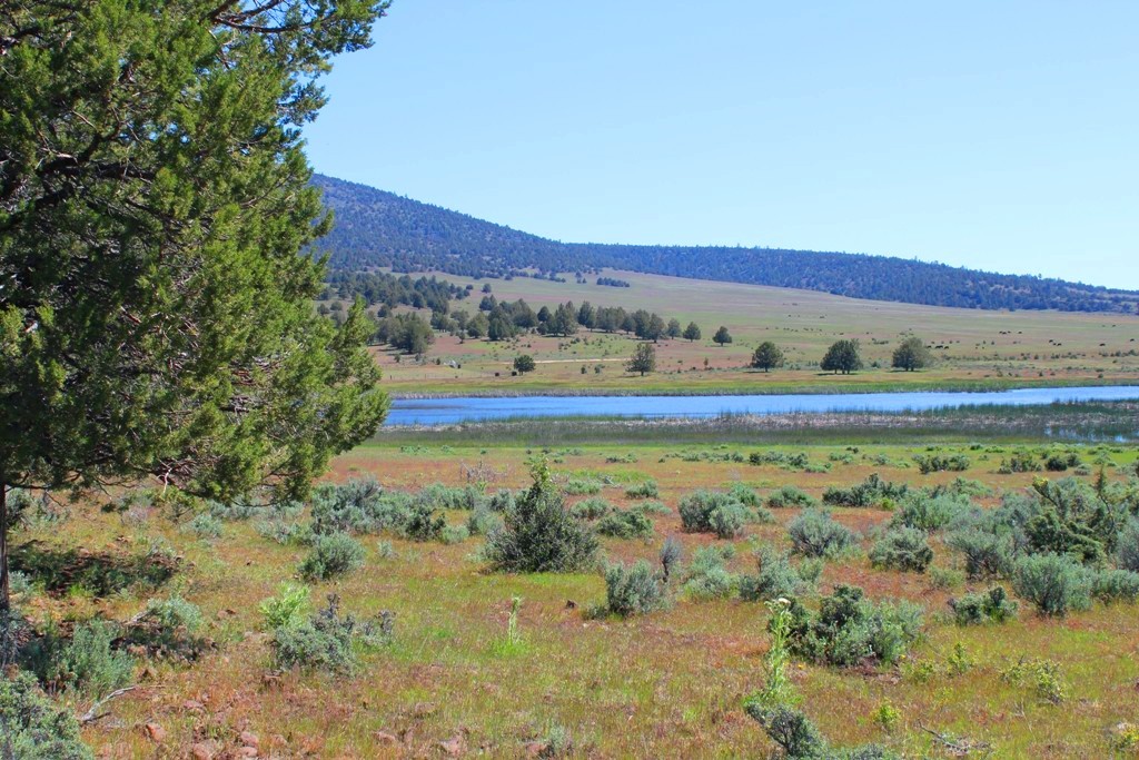 663-150 Dixie Ranch Road McArthur, CA 96056 - Photo 17 of 40 a view of an outdoor space with a lake view