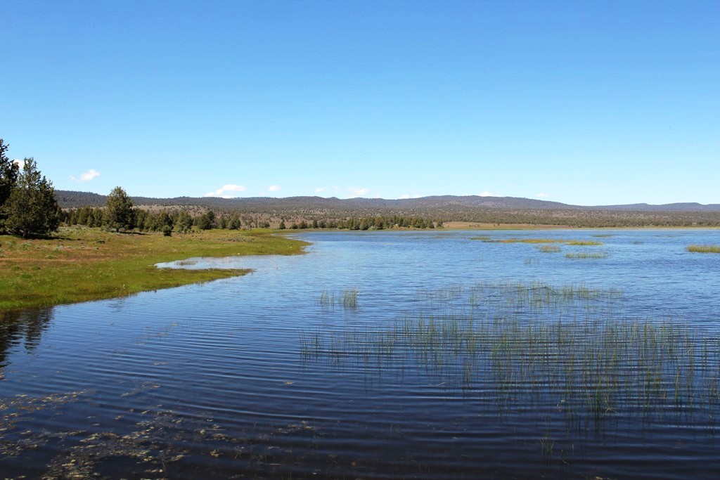 663-150 Dixie Ranch Road McArthur, CA 96056 - Photo 18 of 40