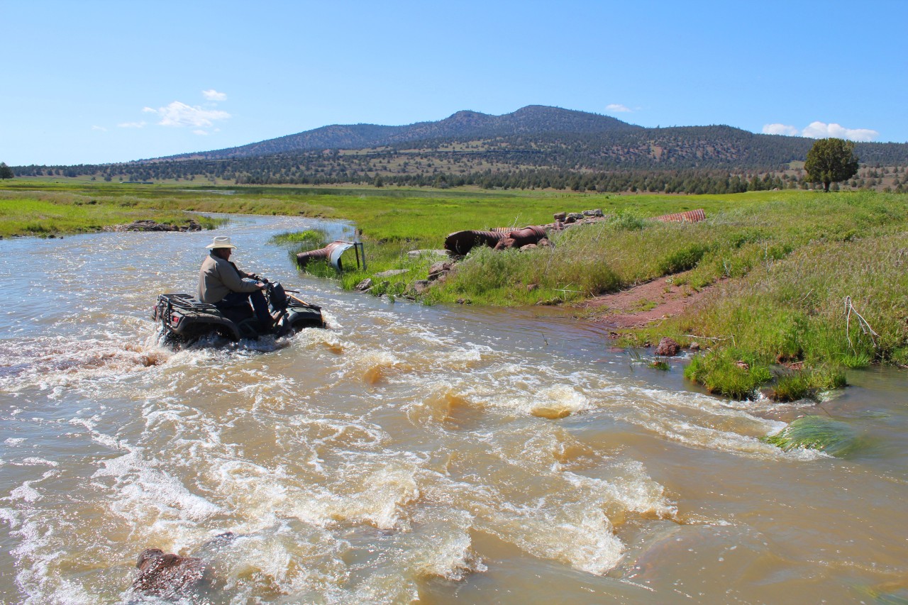 663-150 Dixie Ranch Road McArthur, CA 96056 - Photo 20 of 40 a picture of a lake with a mountain in the background