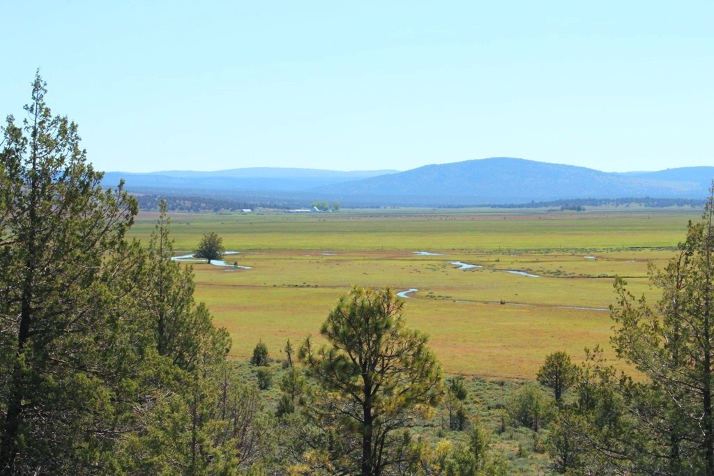 663-150 Dixie Ranch Road McArthur, CA 96056 - Photo 2 of 40 a view of an ocean from a yard