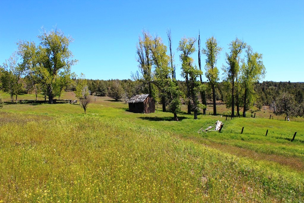 663-150 Dixie Ranch Road McArthur, CA 96056 - Photo 21 of 40 a view of a park with large trees
