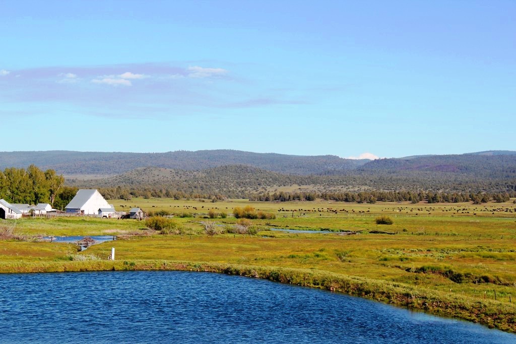 663-150 Dixie Ranch Road McArthur, CA 96056 - Photo 22 of 40 a view of an ocean