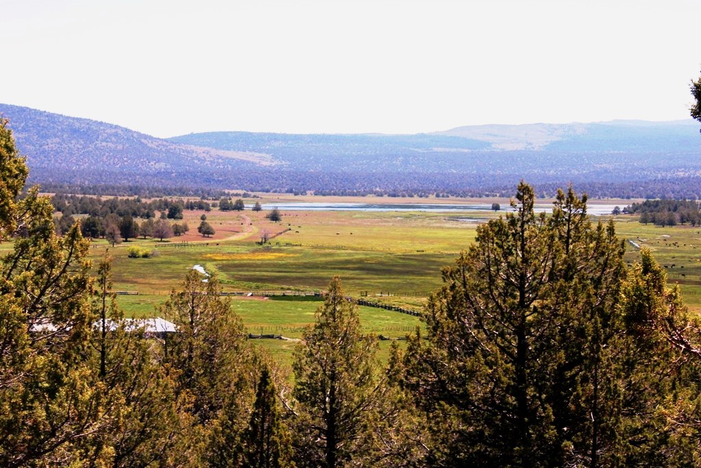 663-150 Dixie Ranch Road McArthur, CA 96056 - Photo 23 of 40 a view of an ocean and a mountain
