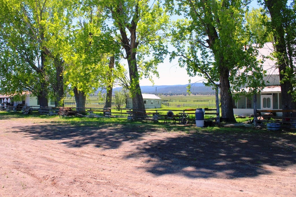 663-150 Dixie Ranch Road McArthur, CA 96056 - Photo 24 of 40 a view of a yard with plants and trees