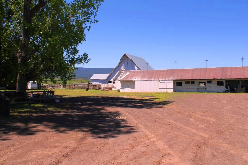 663-150 Dixie Ranch Road McArthur, CA 96056 - Photo 25 of 40 a view of a big yard with a house