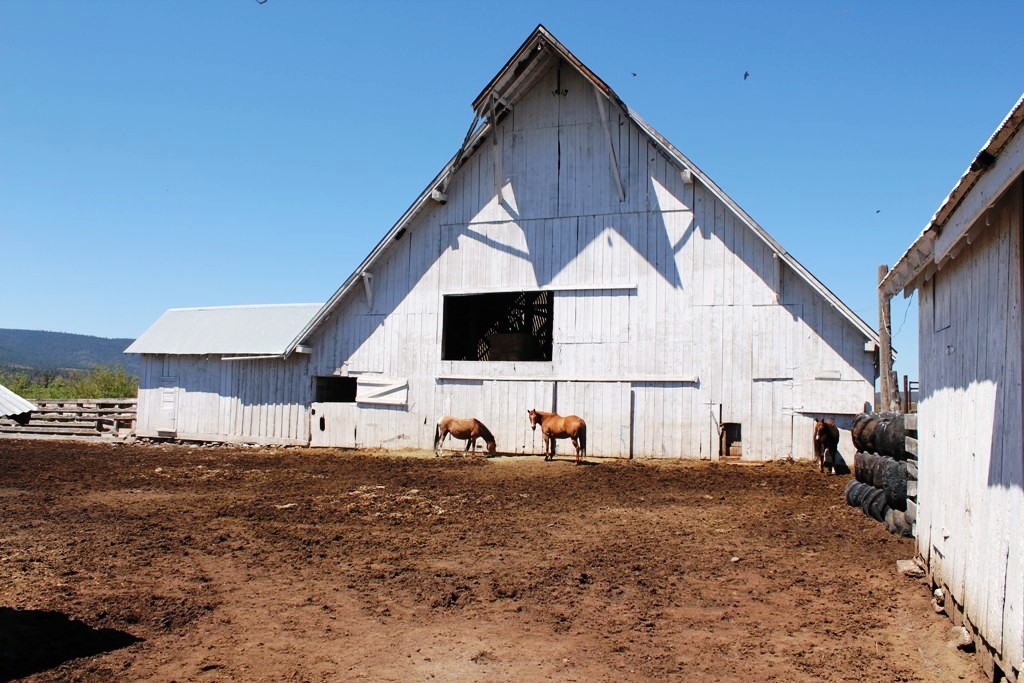 663-150 Dixie Ranch Road McArthur, CA 96056 - Photo 26 of 40 a view of a outdoor space