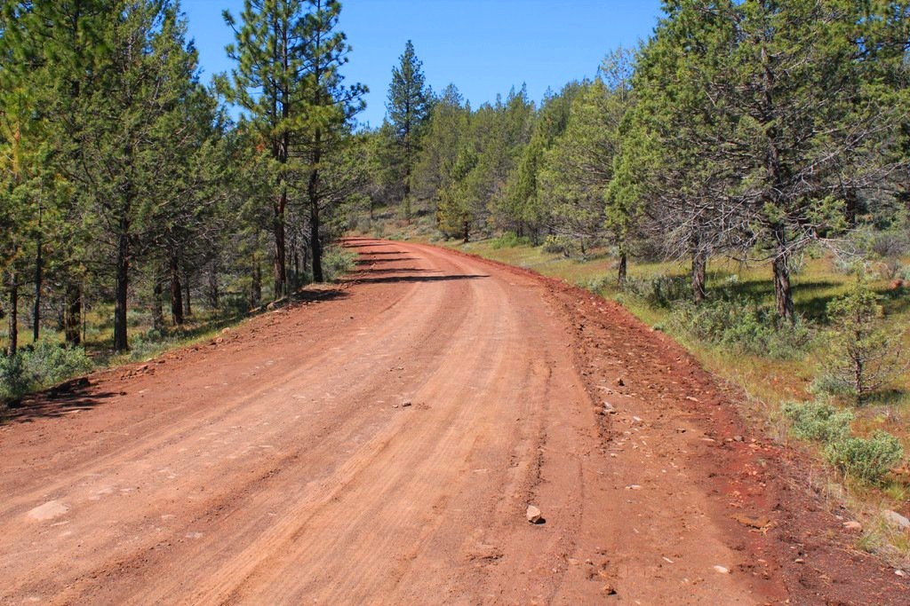 663-150 Dixie Ranch Road McArthur, CA 96056 - Photo 30 of 40 a view of outdoor space and yard